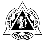 Петрокуб logo