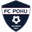 Home team logo