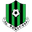 Home team logo
