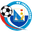 Home team logo
