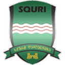 Away team logo