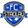 Home team logo