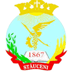 ФК Стаучень logo