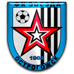ФК Звезда Острогожск logo