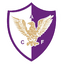 Феникс logo