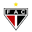 Home team logo