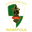 Home team logo