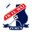 Home team logo