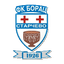 teamLogo