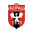 Home team logo