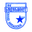Home team logo