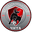 Away team logo