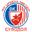 Home team logo