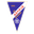 Home team logo