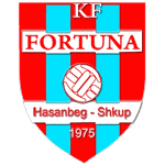 Фк Фортуна