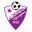 Home team logo