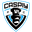 Home team logo