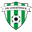 Home team logo