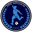 Home team logo