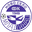 Home team logo