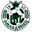 Home team logo