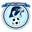 Home team logo