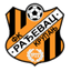 ФК Раджевац Крупань logo