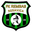 Home team logo