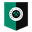 Home team logo