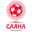 Home team logo