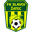 Home team logo