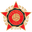 Home team logo