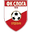 Home team logo