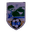Home team logo
