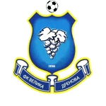 ФК Велика Дренова