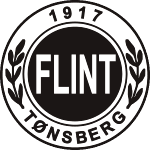 ФК Флинт logo