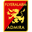 Home team logo