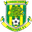 Home team logo