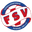 Home team logo