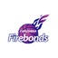 Fukushima Fire Bonds