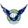 Home team logo