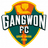 Гангвон ФК logo