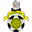 Home team logo