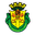 Home team logo