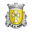 Home team logo