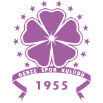 ФК Гебзеспор logo