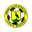 Home team logo