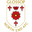 Home team logo
