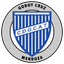 teamLogo