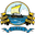 Home team logo